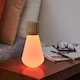 image 4 of Gingko Mini Pentagon Desk Bulb Light in Natural Wood N/A | White Ash