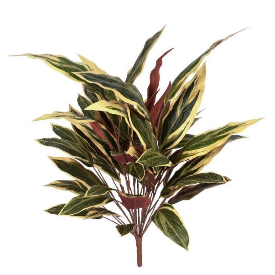 image 1 of 90cm Fire Retardant Caladium Bush with white edge x15w/49Lvs