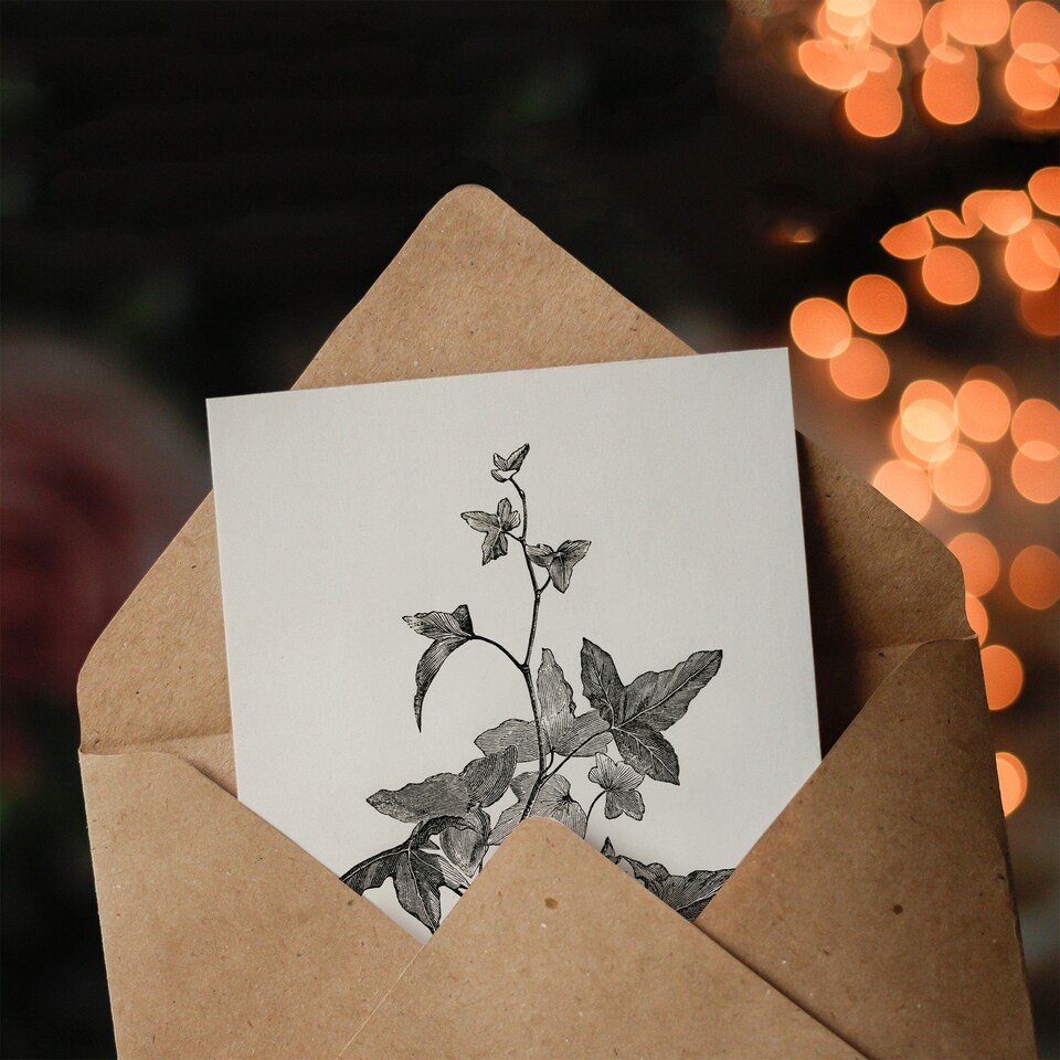 image 1 of Shirley Hibberd Art Card Vintage Botanical Minima Ivy