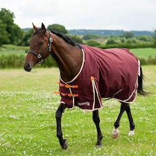 Gallop Equestrian Trojan Xtra 100 Turnout Red | Size: 6ft 0
Colour: Burgundy