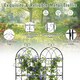 image 8 of COSTWAY 2 Pack Garden Trellis Metal Trellis for Climbing Plants