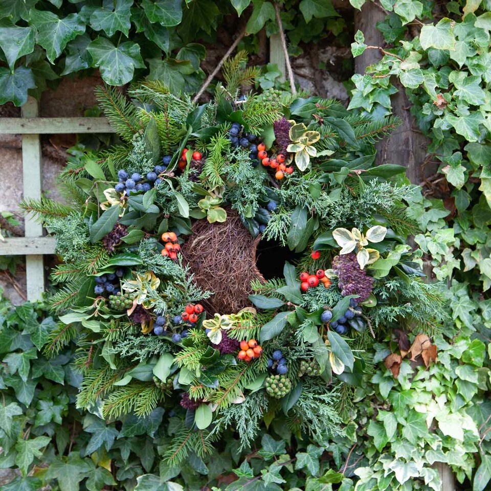 image 1 of Marshalls Garden Simon King Wreath Nester