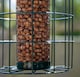 image 5 of Pack of 2 Samuel Alexander Metal Hanging Bird Nut Feeder with Squirrel Guard & Pack of Nut Feed