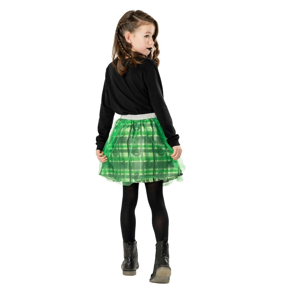 image 1 of Harry Potter Childrens/Kids Slytherin Costume Tutu Skirt - Green/Silver - 9-10 Years 9