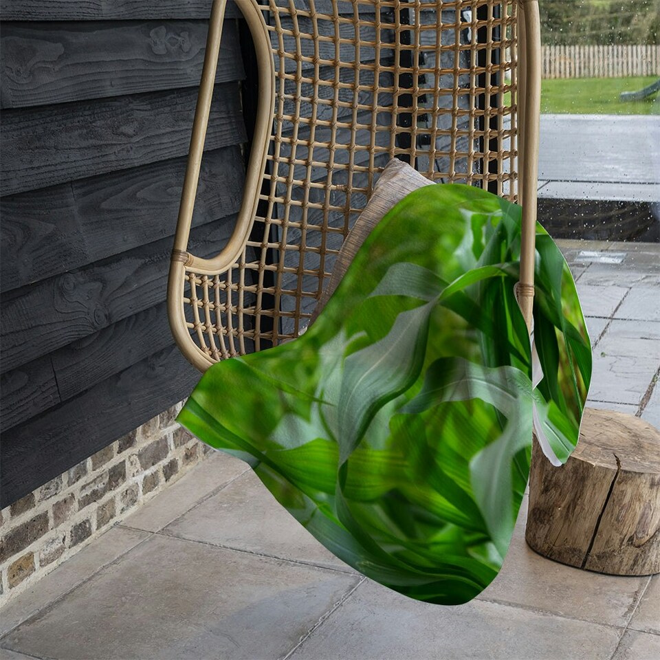 image 1 of Green Leaves corn fields as background (Blanket)
