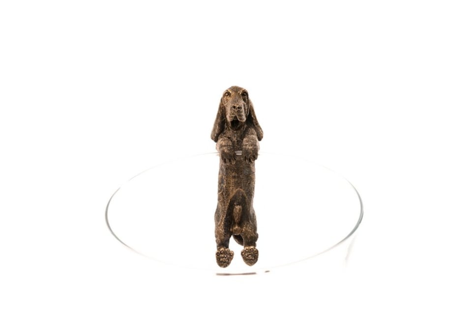 image 1 of Basset Hound Plant Pot Hanger - L11 x W5.5 x H4.5 cm