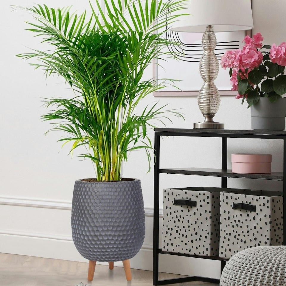 image 1 of Honeycomb Style Dark Grey Planter with Legs, Round Indoor Plant Pot Stand for Indoor Plants by Idealist Lite D30 H43 cm, 19L