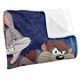 image 2 of Space Jam: A New Legacy Tune Squad Group Shot Blanket - Multicoloured - One Size