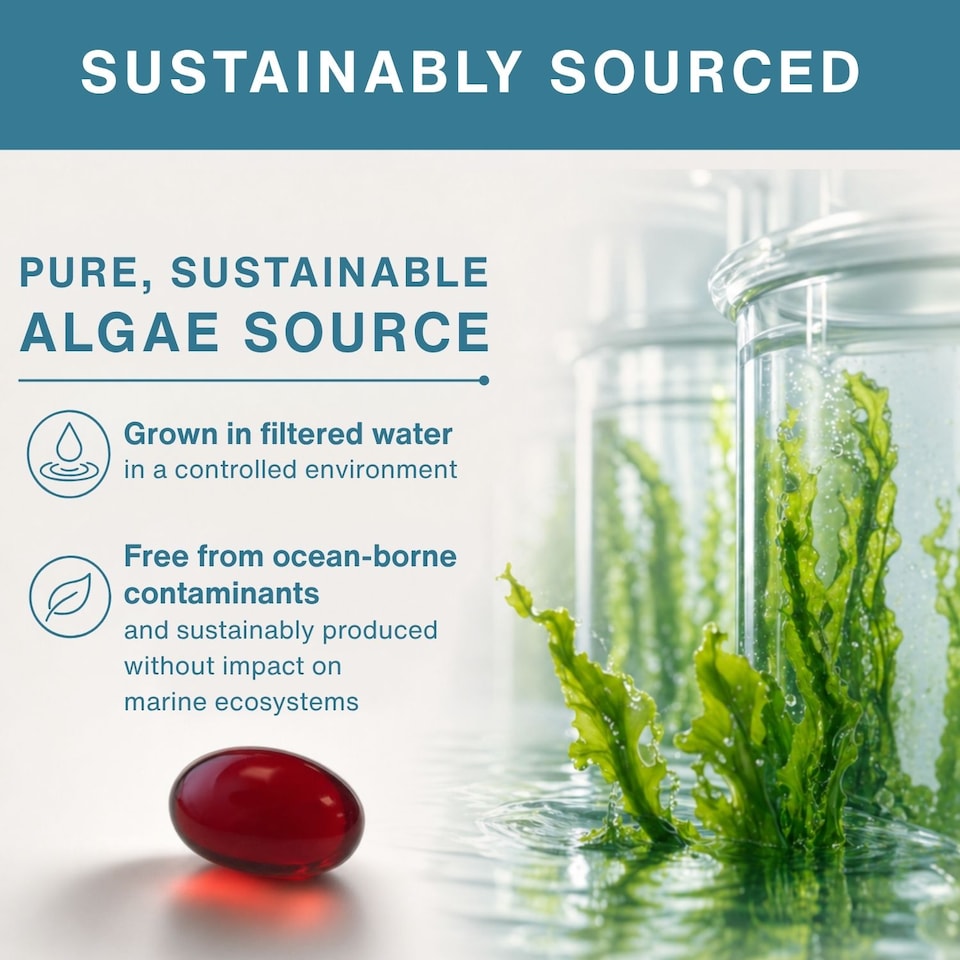 image 1 of Igennus Vegan Omega-3 Algae Oil, 400mg DHA & 200mg EPA & Astaxanthin, 60 Softgels