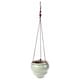 image 4 of Burgon & Ball Hanging Pot Baby Bombino Trio