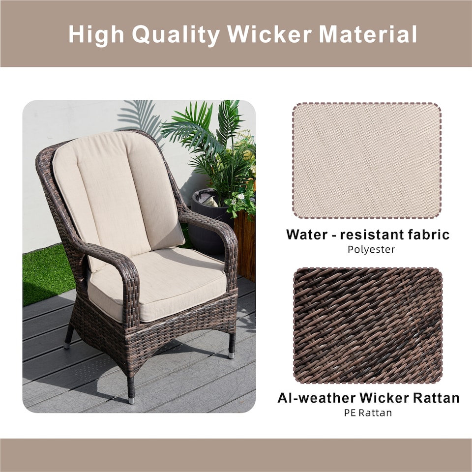image 1 of Direct Wicker 2-Piece Outdoor PE Rattan Dining Chairs, Brown | Brown