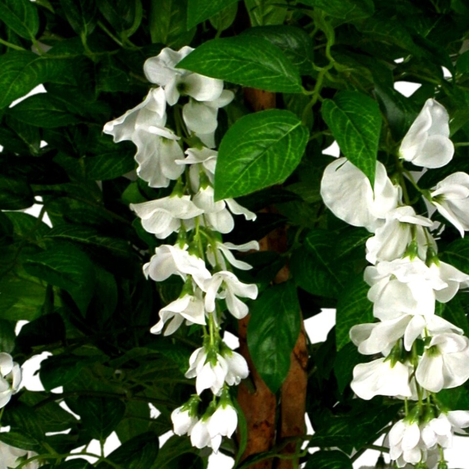 image 1 of 130cm Luxury Artificial Wisteria Tree White Flowers - Premium Range Gold Metal Planter