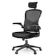 image 1 of Rattantree Ergonomic Office Chair With Headrest & Lumbar Support