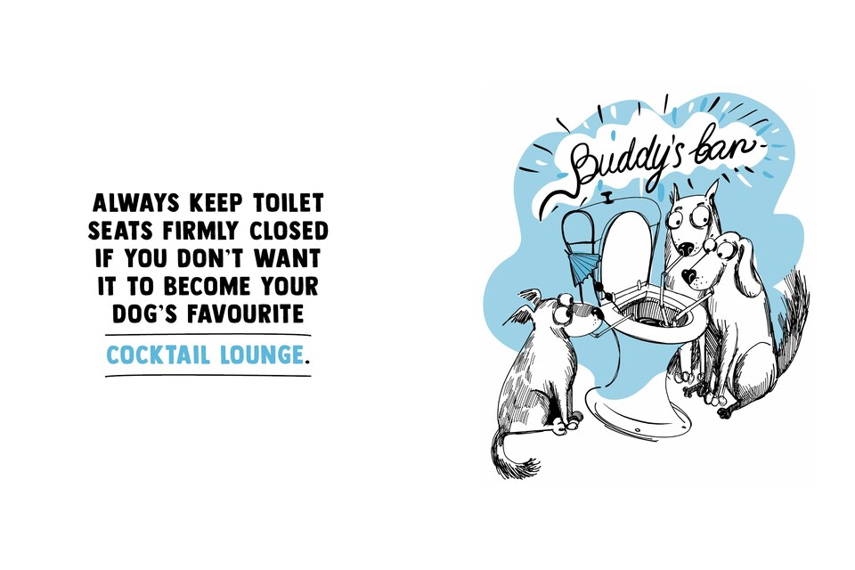 image 1 of The Dog Owner's Survival Guide