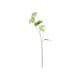 image 1 of Hill Interiors Faux Viburnum Spray - Green - 66cm