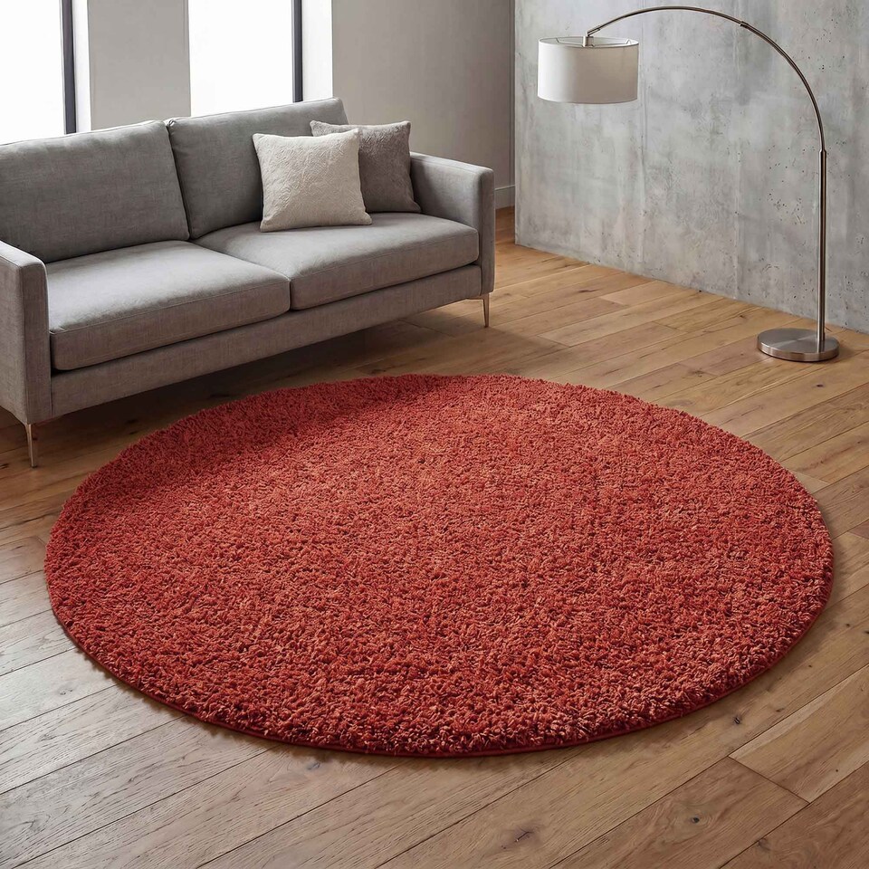image 1 of Desire Rugs Ainsley Plain Living Room Shaggy Area Rug