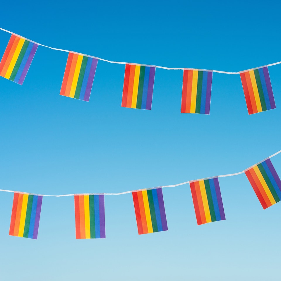 image 1 of VFM e-Store Rainbow Pride Bunting Flags 12ft