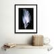image 2 of Photo Modern Black White Feather Bird 12x16" Framed Wall Art Print
