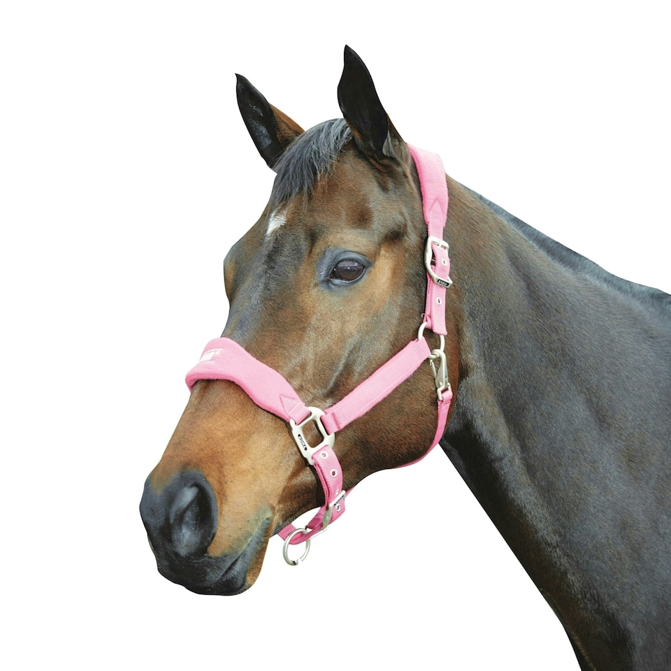 Roma Fleece Shaped Headcollar - Berry - Pony