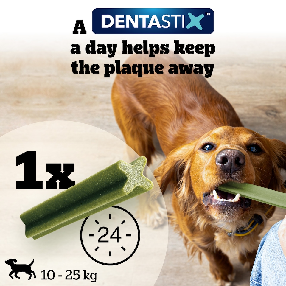 image 1 of 112 Pedigree Daily Dentastix Fresh Dental Sticks Dog Treats Medium Dog Chews