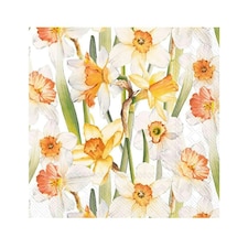 IHR  Daffodil Joy Cocktail Napkins 25cm 3ply  20 Pack