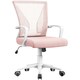 image 1 of Yaheetech Ergonomic Mesh Office Chair Mid-Back 360° Rolling Casters | Pink