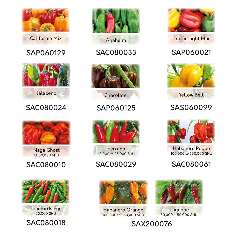 image 1 of Pronto Seed Chilli & Sweet Pepper Seeds Variety Pack – 12 Types, 110 Seeds for Home Growing