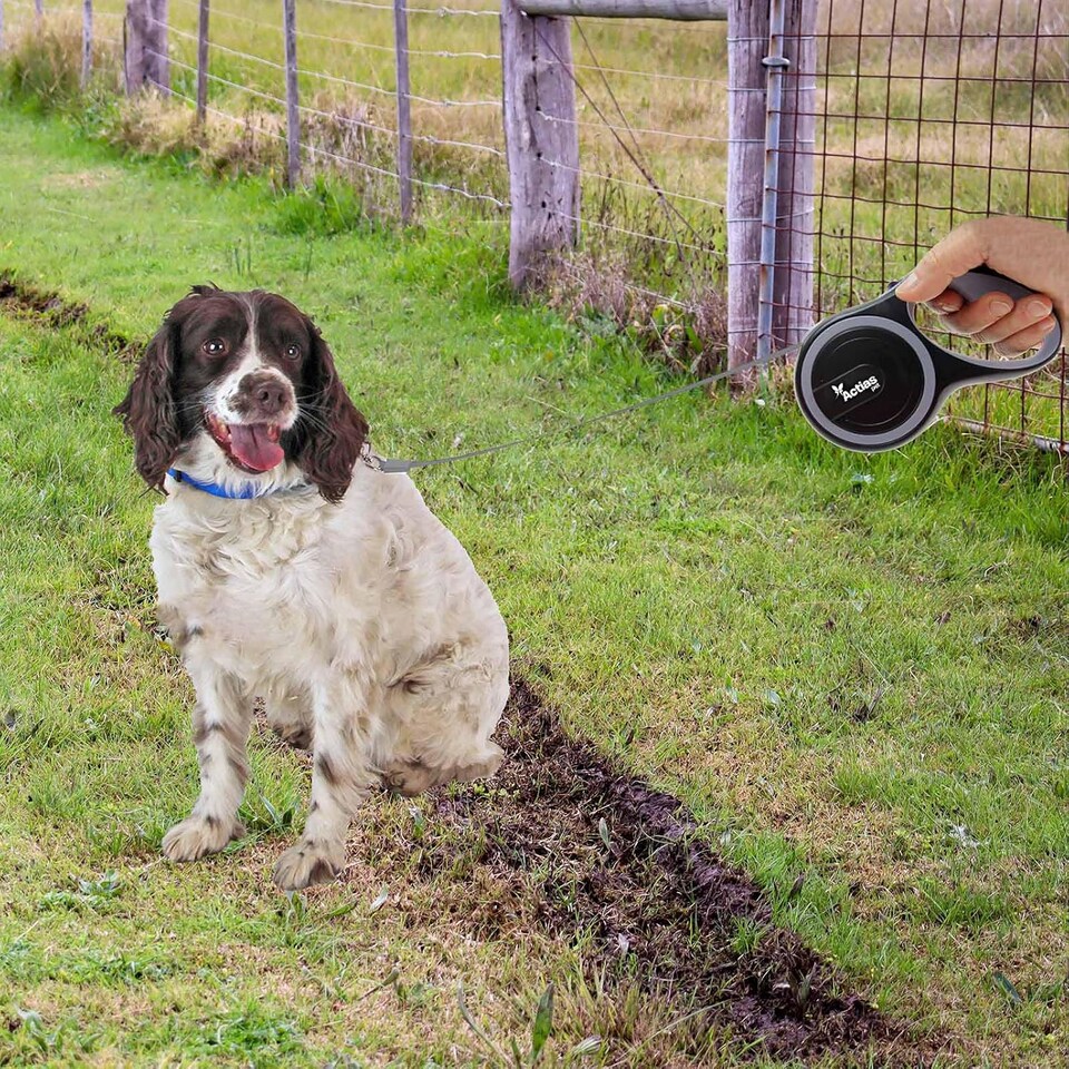 image 1 of Actiaspet Retractable Dog Lead Training Pet Leash 5m Max 50kgs Extendable (Grey)
