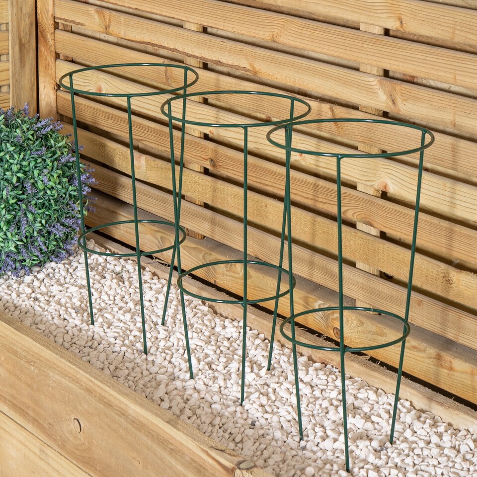 image 1 of Pack of 3 Tom Chambers Urban Green Conical Garden Plant Support Ring 20cm- Small