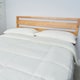image 1 of BHS Teddy Bear Single Duvet, Cream | Multi