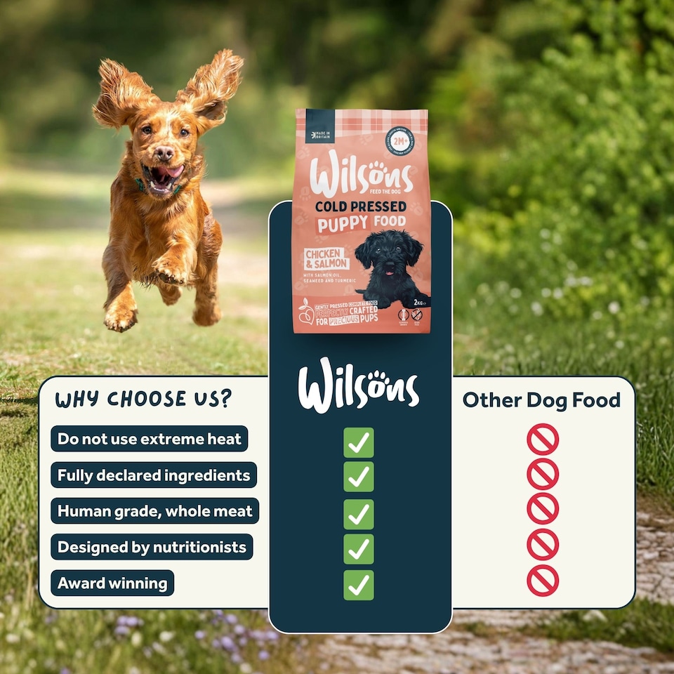 image 1 of Wilsons Cold Pressed Puppy Dog Food Natural Complete Nutrition for Growing Pups - 2kg bag