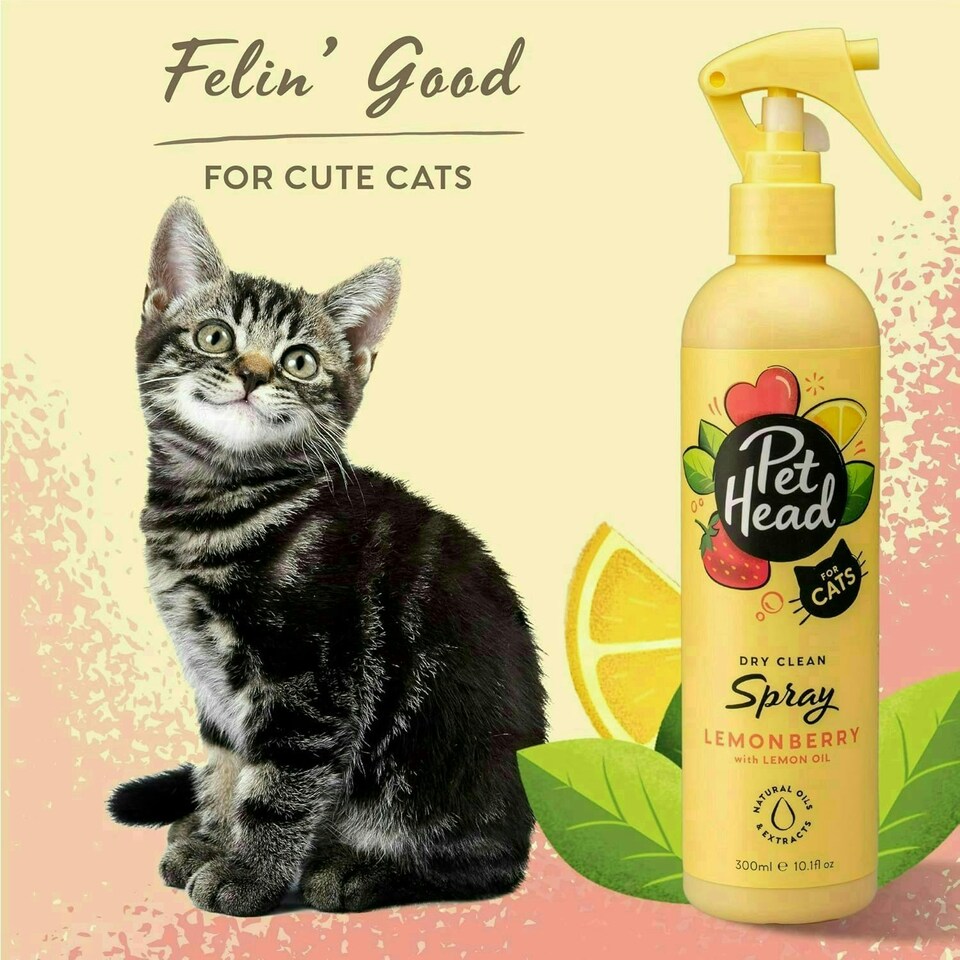 image 1 of Pet Head Cat Dry Clean Spray 300ml Fruity Scent | Multi