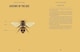 image 5 of Bees: A Guide For The Curious
