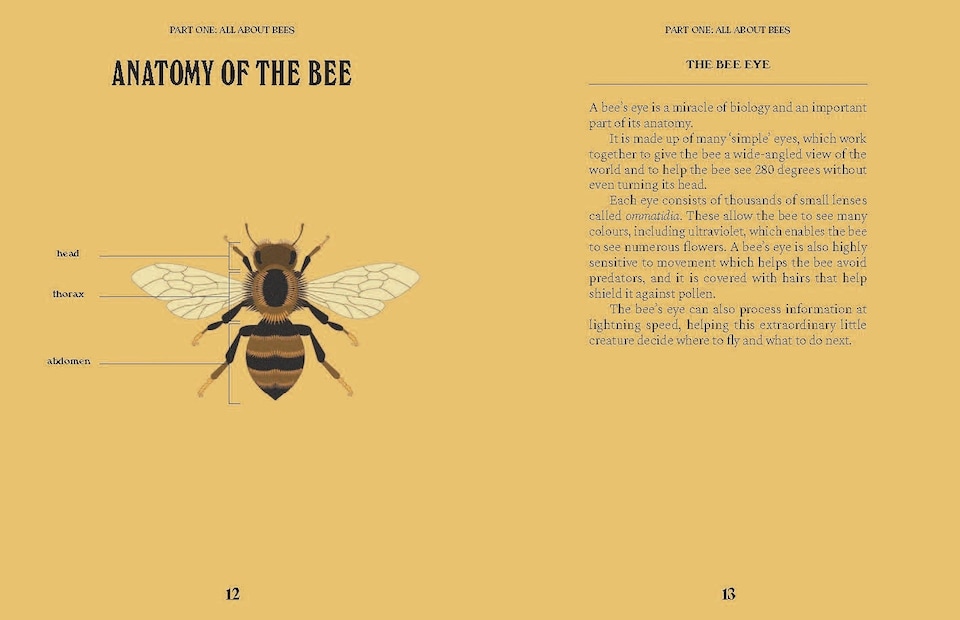 image 1 of Bees: A Guide For The Curious