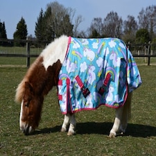 Rhinegold Unicorn Torrent Outdoor Rug