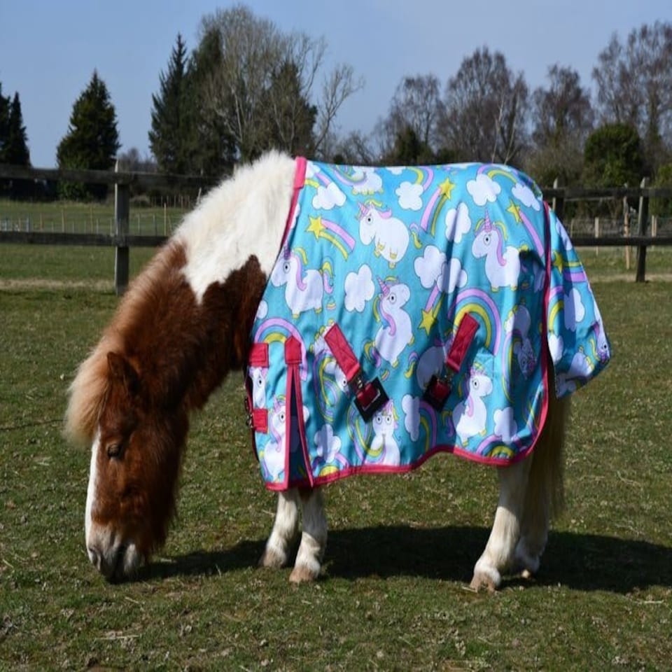 image 1 of Rhinegold Unicorn Torrent Outdoor Rug