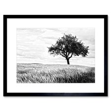 Lone Tree Wheat Field Black White Photo 9x7" Black Framed Wall Art Print