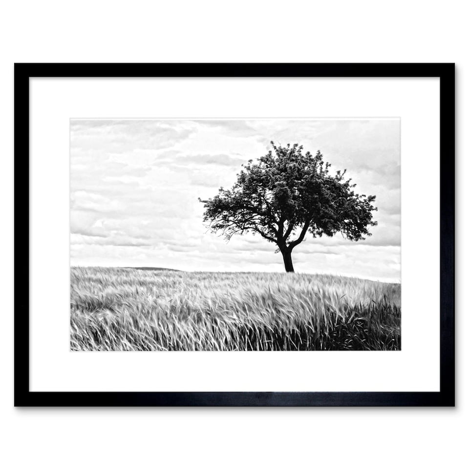 image 1 of Lone Tree Wheat Field Black White Photo 9x7" Black Framed Wall Art Print