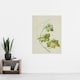 image 4 of New Zealand Sicyos Australis Mawhai Plant Featon Wall Art Poster Print 24X32"