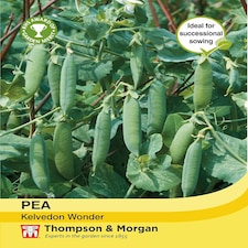 Pea Kelvedon Wonder 1 Seed Packet (250 Seeds)