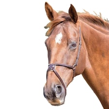 Blenheim Mexican Leather Horse Noseband - Havana - Pony