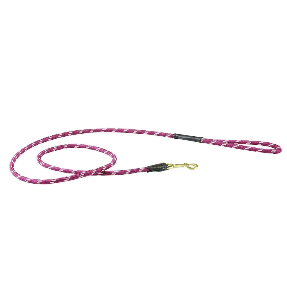 Weatherbeeta Rope Leather Dog Lead - Burgundy/Brown - 1.2m