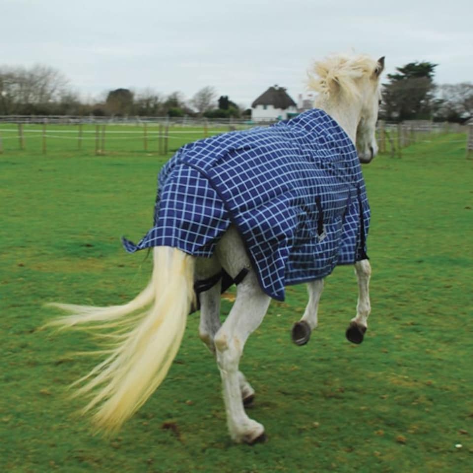image 1 of Rhinegold Atlanta Turnout Rug Blue | Colour: Navy Check
Size: 5ft 6