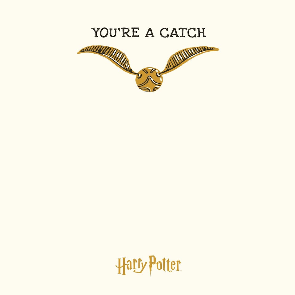 image 1 of Harry Potter 'You're A Catch' Valentine's Day Card