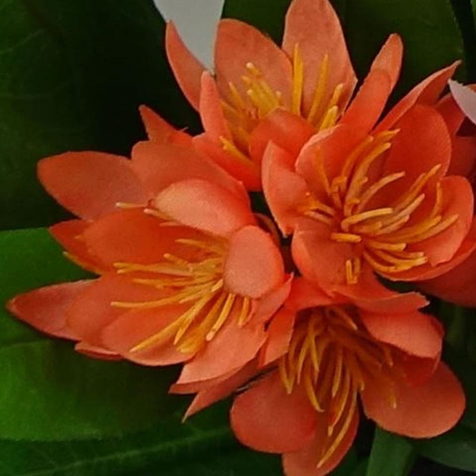image 1 of 18cm Artificial Freesia Plant Orange Flowering