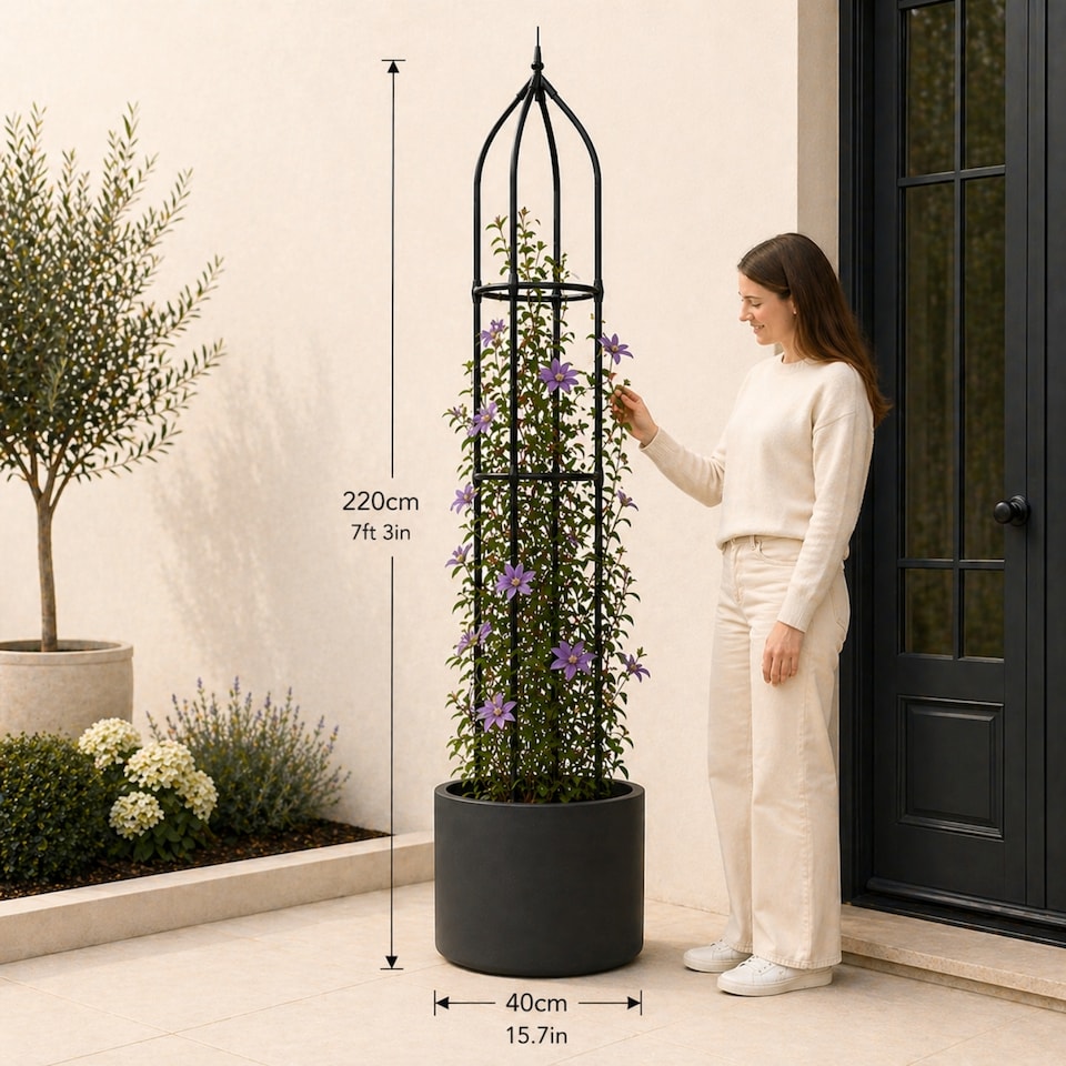 image 1 of Garden Obelisk for Climbing Plants 220cm 7ft - Metal Plant Cage Support Trellis Rose Tower for Flowers, Patio Pots, Shrub, Borders