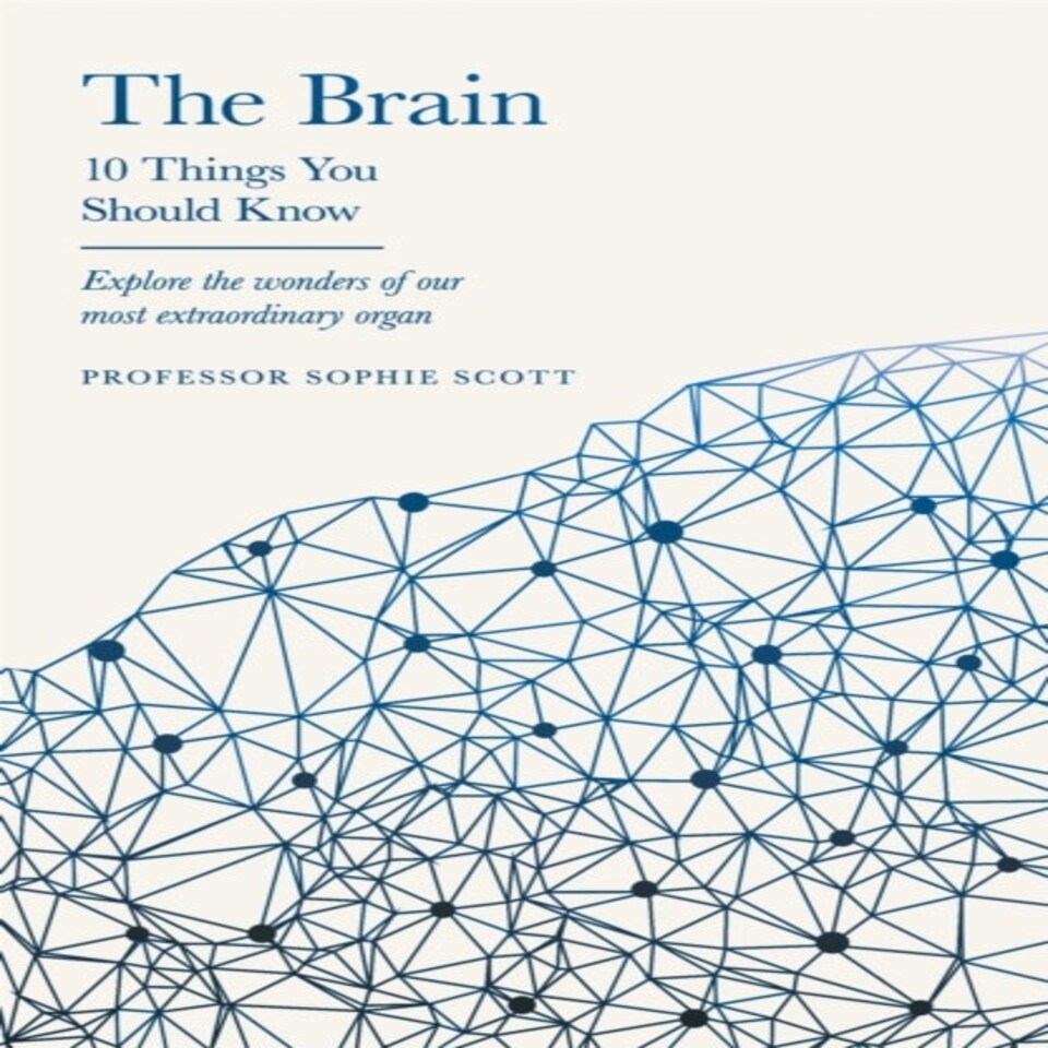 The Brain