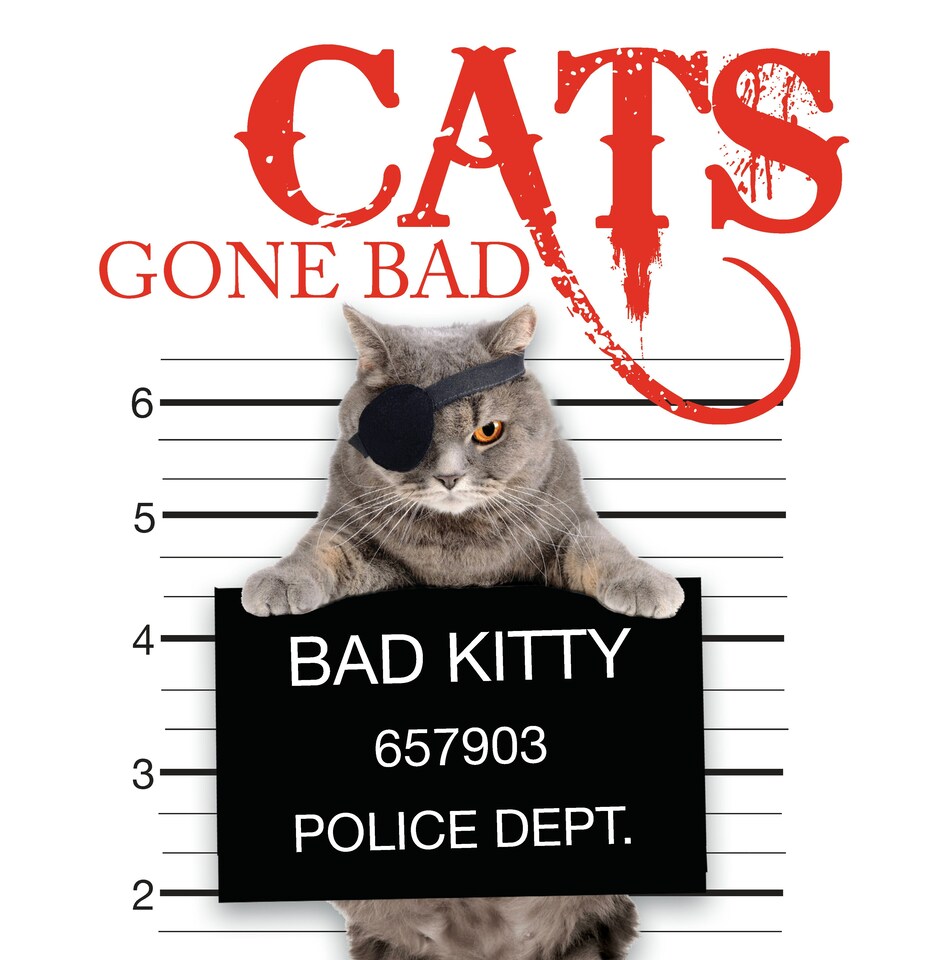 image 1 of Cats Gone Bad