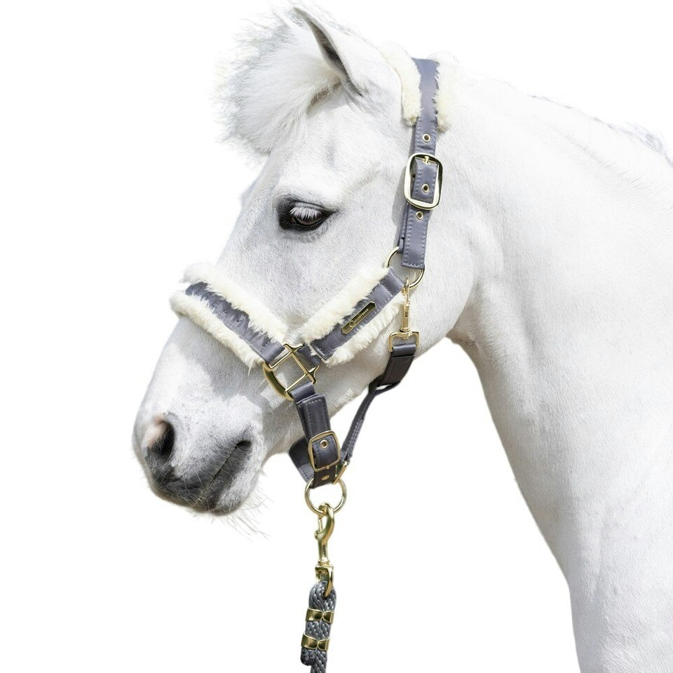 image 1 of Coldstream Langlee Luxury Horse Headcollar and Leadrope - Grey - Full