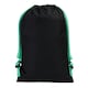image 2 of Speedo Pool Bag - Black/Green - One Size Black | One Size